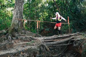 BIB: 
                            <button type="button" onclick="openModal(27751391)" class="btn btn-primary btn-sm float-right btn-popup" data-toggle="modal" data-target=".modal-high-quality">
                        <i class="fas fa-shopping-cart"></i> Add to Cart
                    </button>
                                            <button type="button" onclick="isThisMe(27751391, true)" class="btn btn-success btn-sm float-right btn-popup btn-isme hidden" data-toggle="tooltip" data-placement="bottom" title="นี่คือรูปของคุณใช่ไหม คลิกที่นี่เพื่อเอาเข้าอัลบั้ม">
                        <i class="fas fa-plus"></i> Add to album
                    </button>
                    <button type="button" onclick="isThisMe(27751391, false)" class="btn btn-warning btn-sm float-right btn-popup btn-isnotme hidden">
                        <i class="fas fa-ban"></i> Remove from album
                    </button>